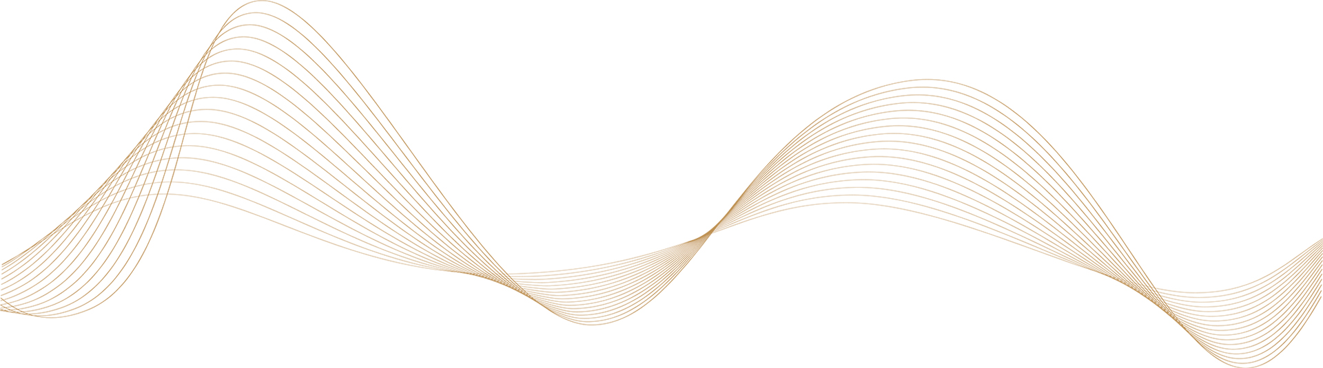 Commentary from Wealth Management