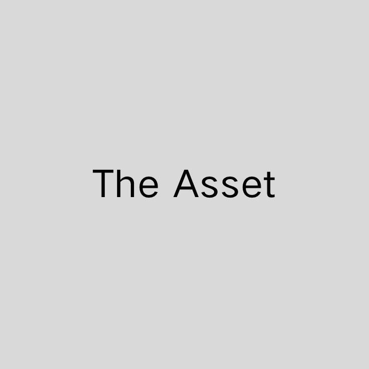 The Asset